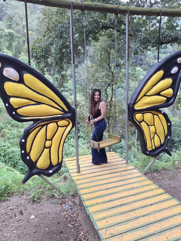 Columpio de la mariposa monarca