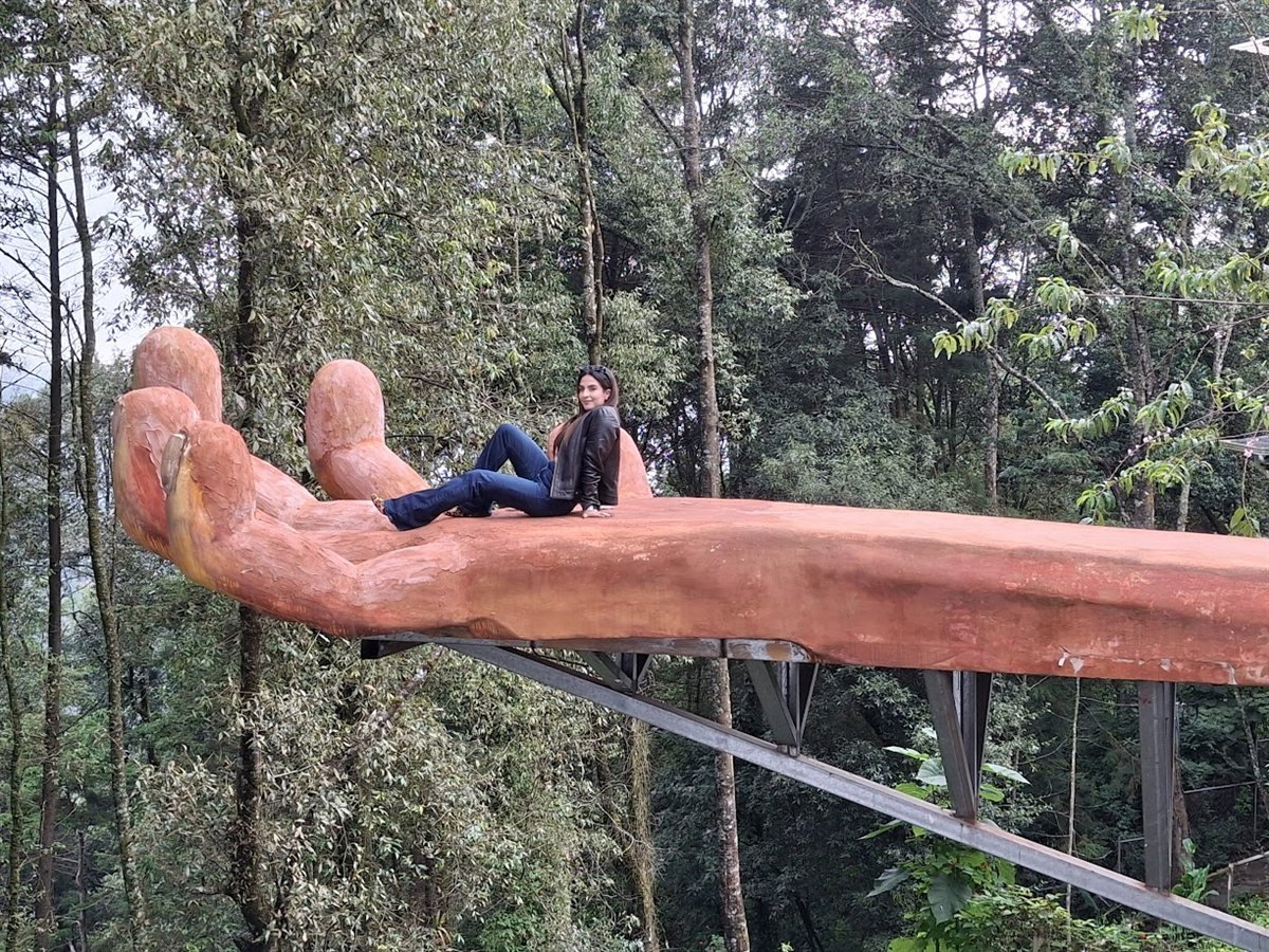 Mirador La Mano Gigante sobre el bosque