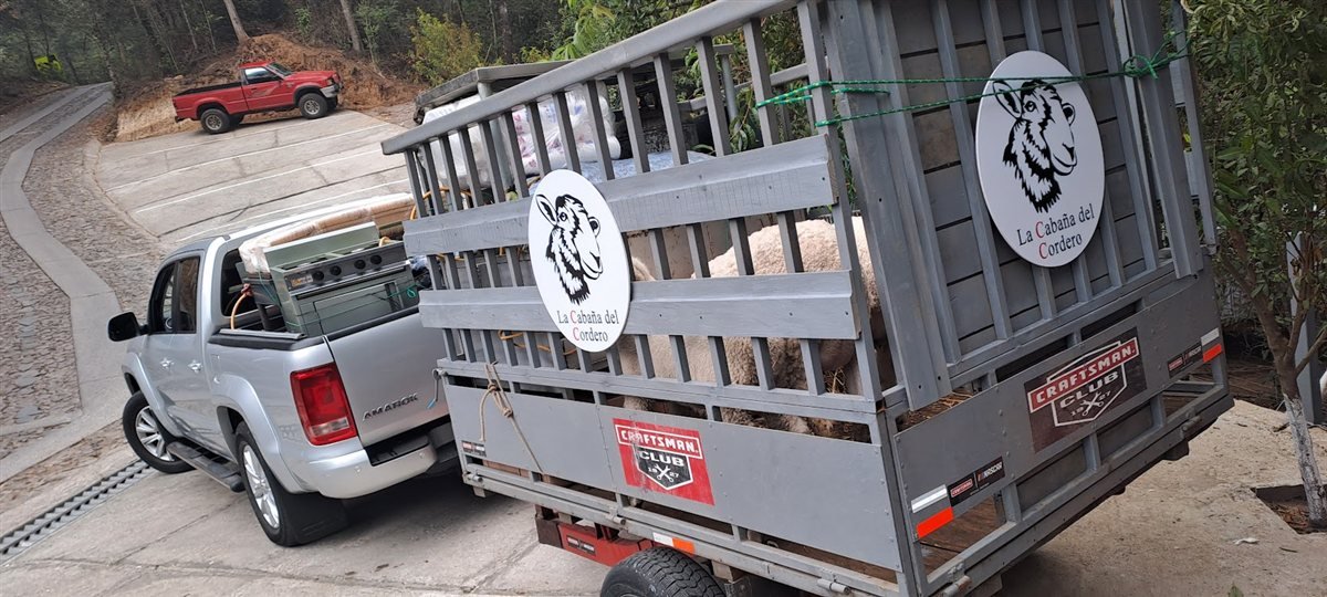 Transporte de corderos de La Cabaña del Cordero