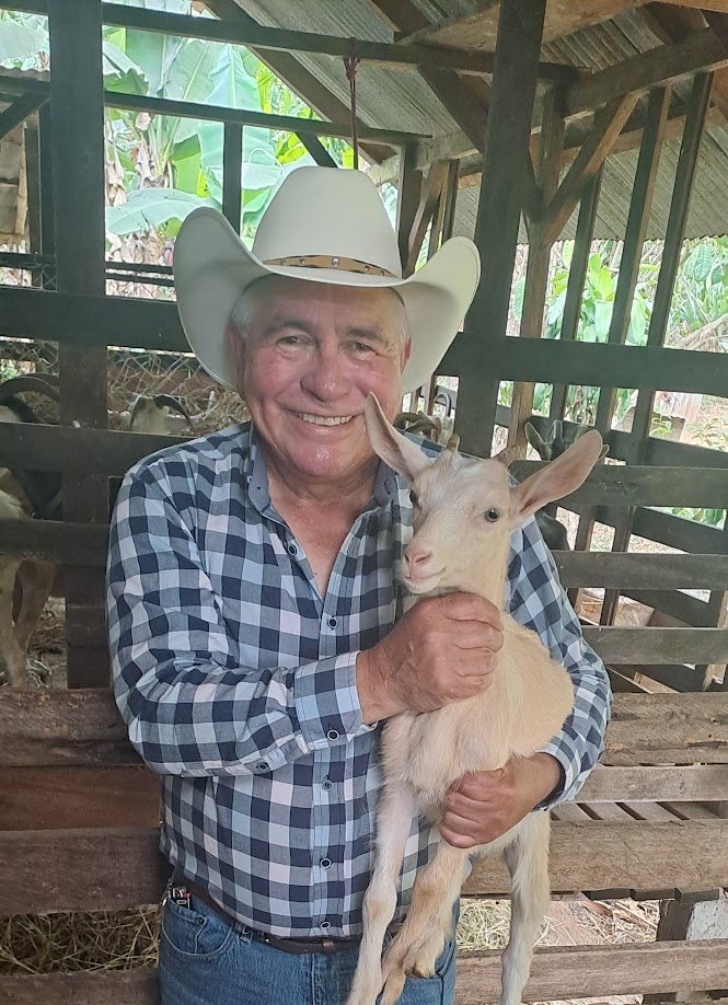 Cabrito de la granja