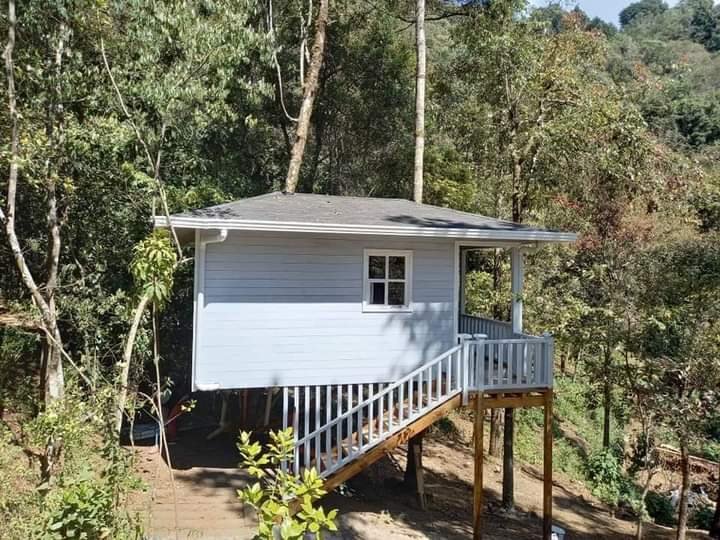 Cabaña del Árbol