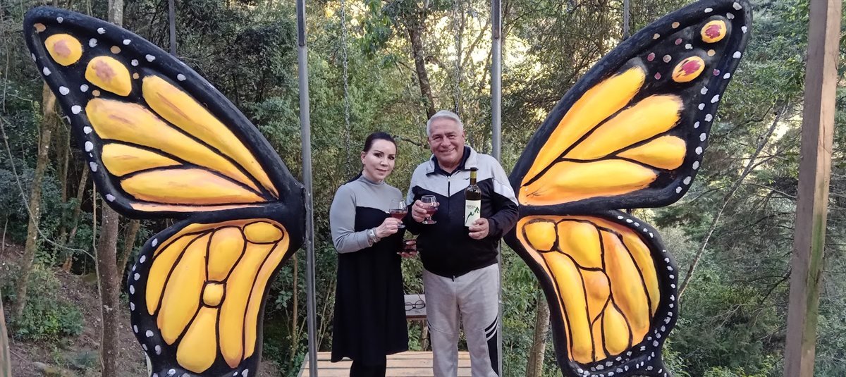 Alas de mariposa para fotos, con copa de vino de la casa